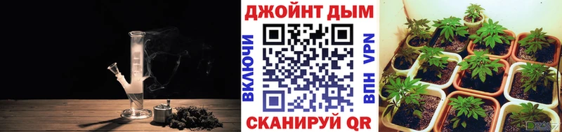 Бошки Шишки семена  наркошоп  Обнинск 